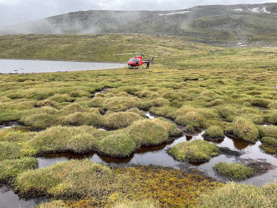 Baffin island vegetation outlet