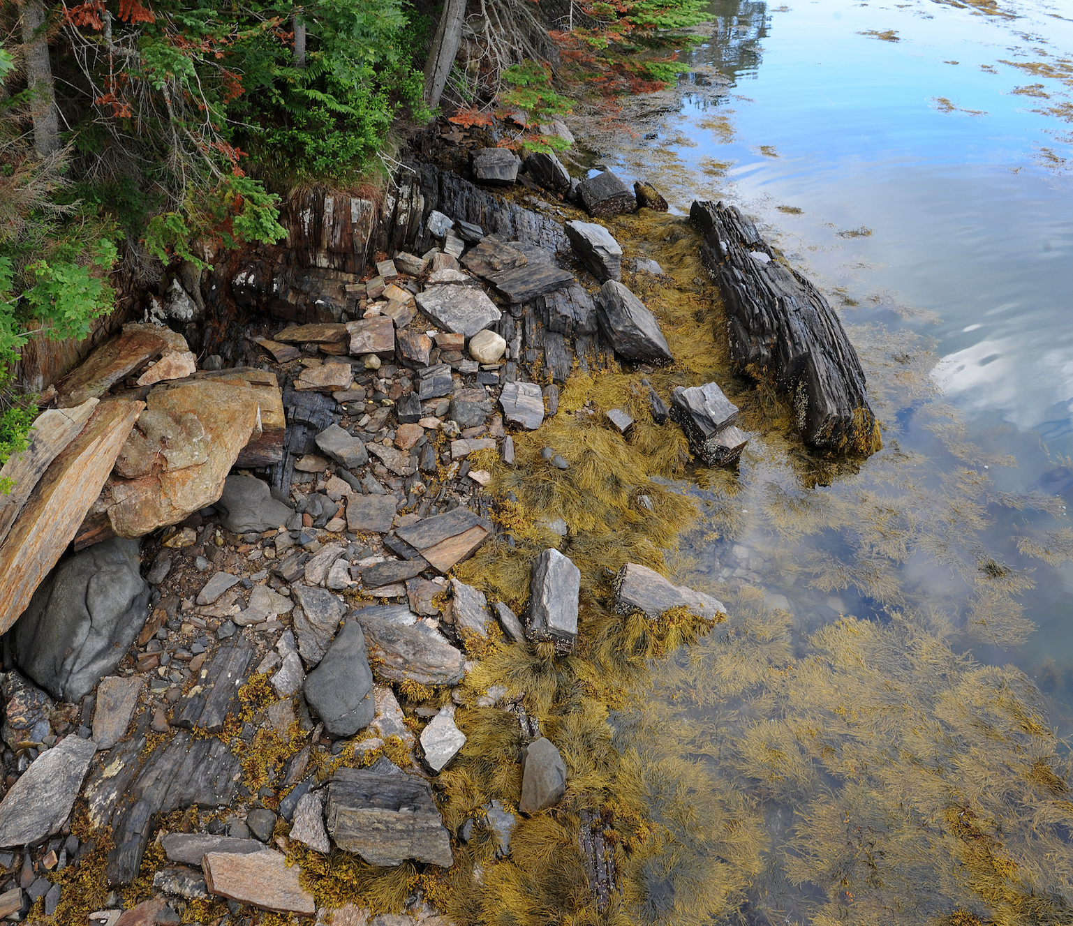 Aerial footage of the rocky intertidal at the Schiller Center