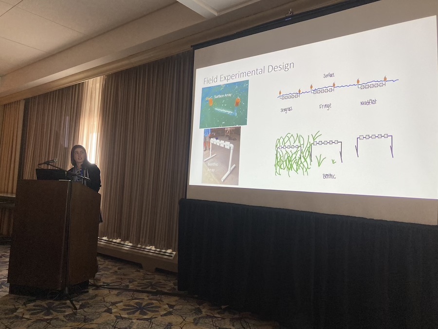 Student explains her field design set up