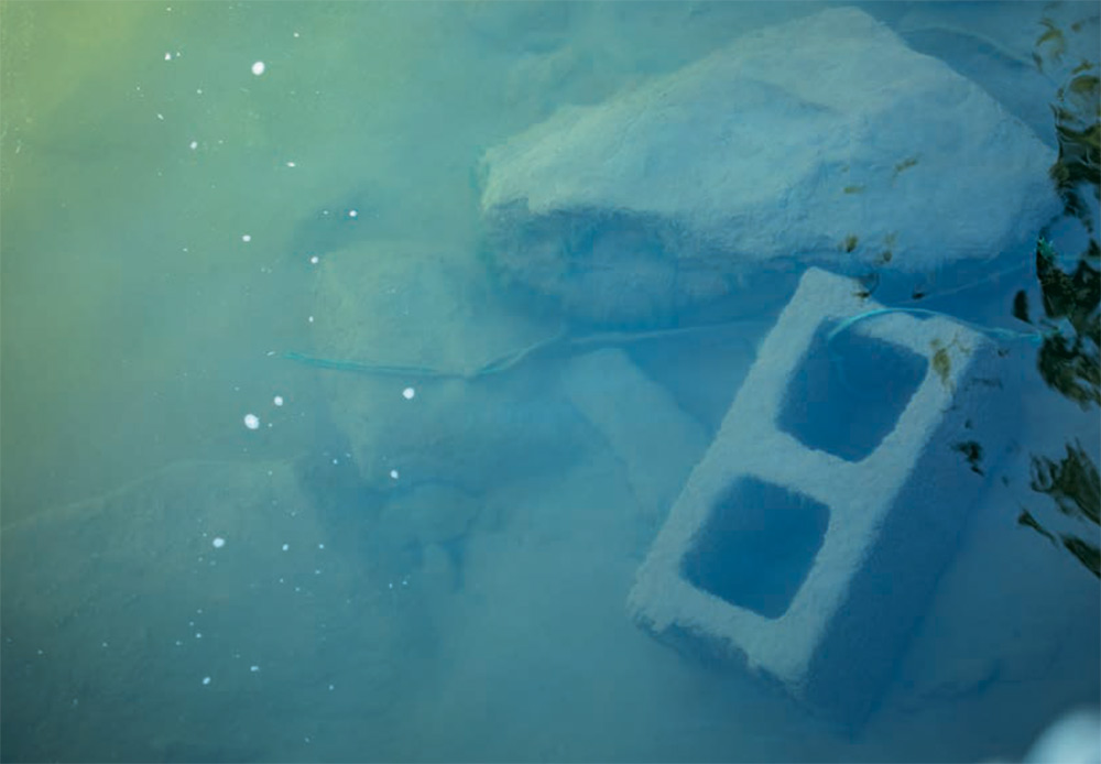 Wire and cinderblocks under the surface of the sea.