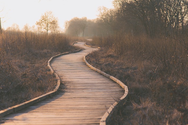 boardwalk pathway