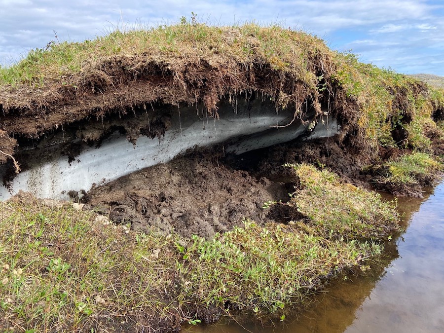 Tundra permafrost thaw slump (photo credit: P. Camill).