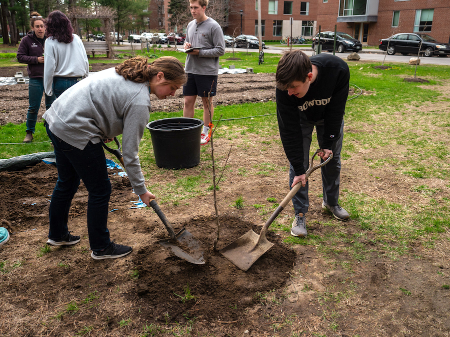 Two students tamp down soil