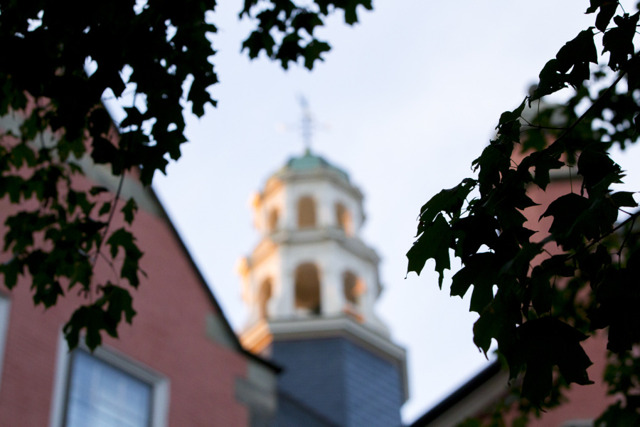 Bowdoin campus scenic
