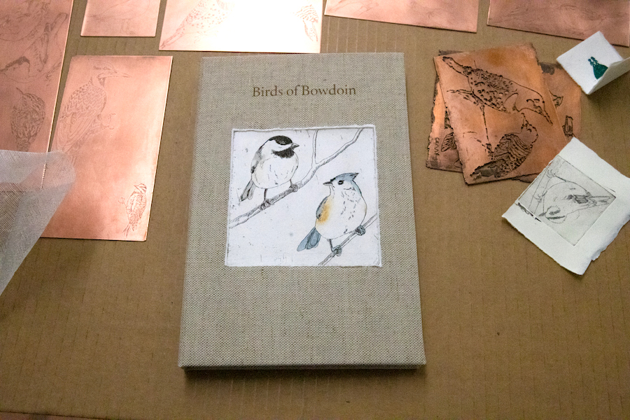 Birds of Bowdoin cover