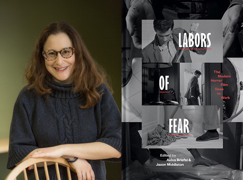 briefel w labors of fears book cover