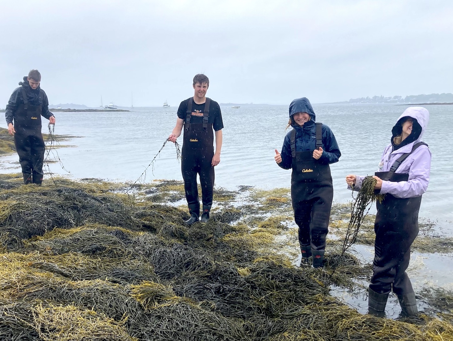 Students stand in the rain with brown seaweed