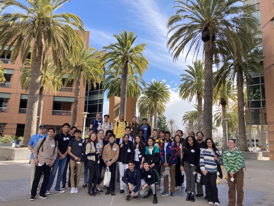 Students posing under palm trees