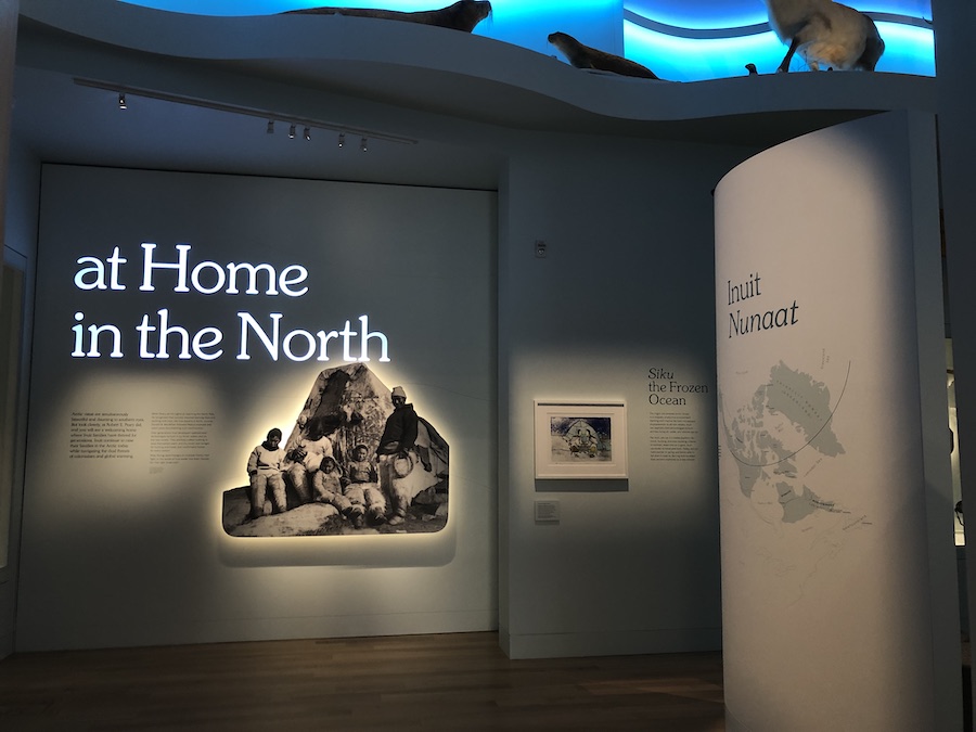 Inside the Peary-MacMillan Arctic Museum