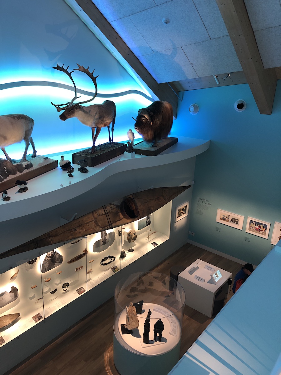 Inside the Peary-MacMillan Arctic Museum