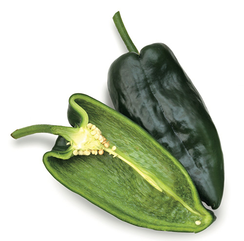 A poblano pepper