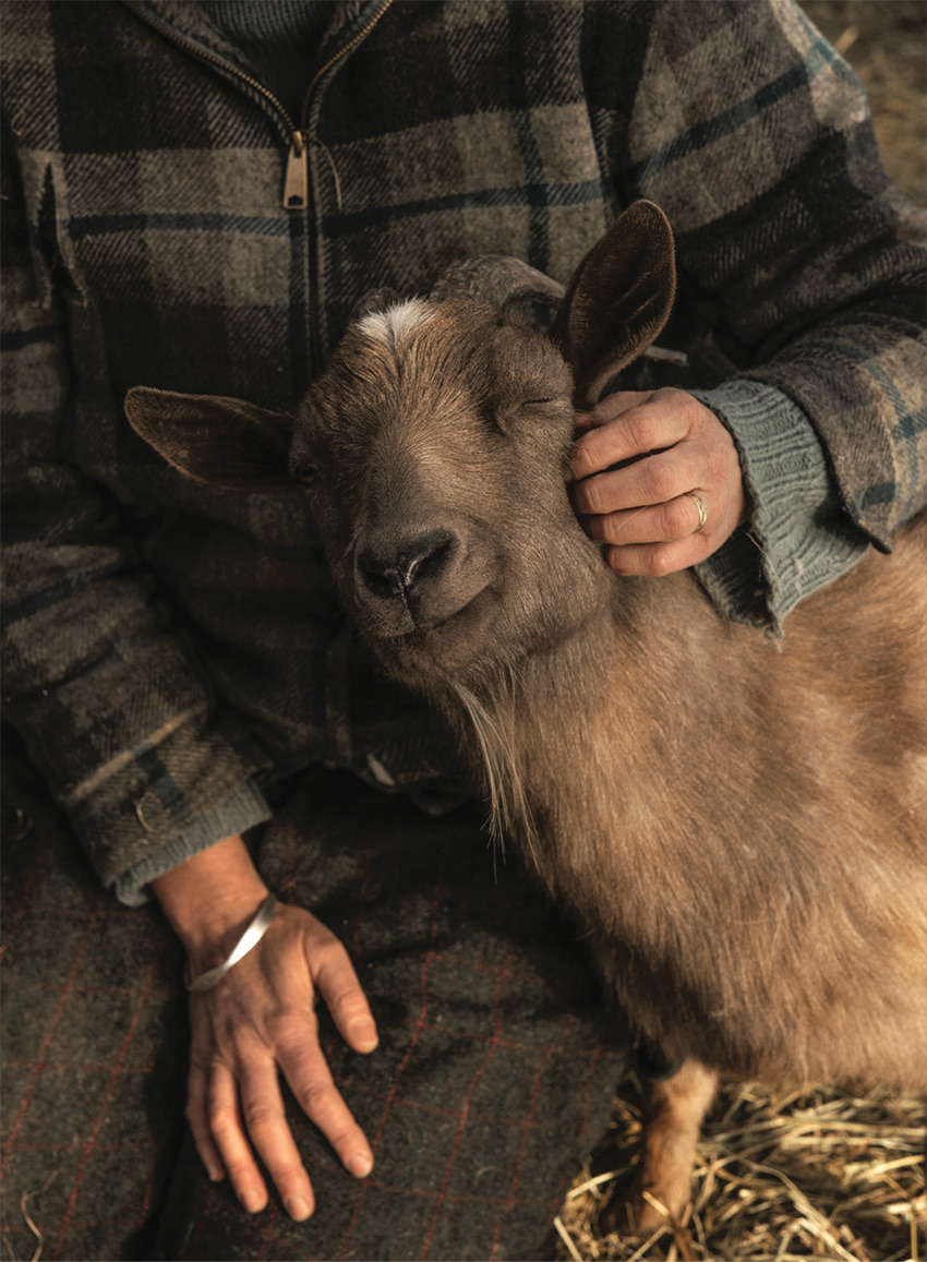 Amy snuggles Grem, a Nigerian dwarf breed, photo by Greta Rybus.