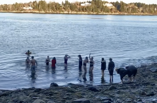 polar-plunge.png