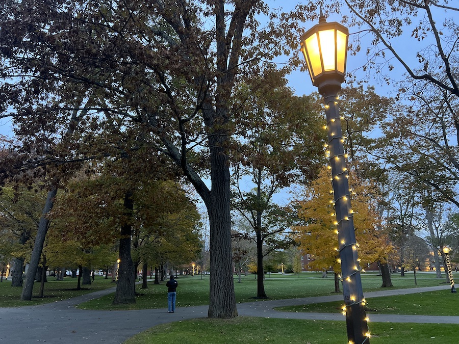 winter lights on the quad