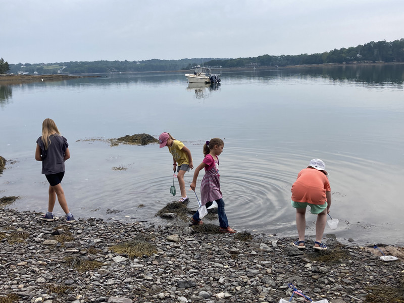 Beachcombing at Schiller's Mussel Beach