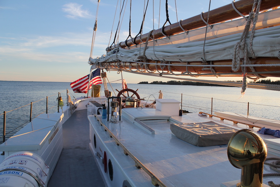 Front end of the ship