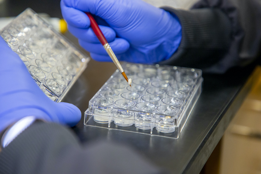 close up of a student working in a science lab