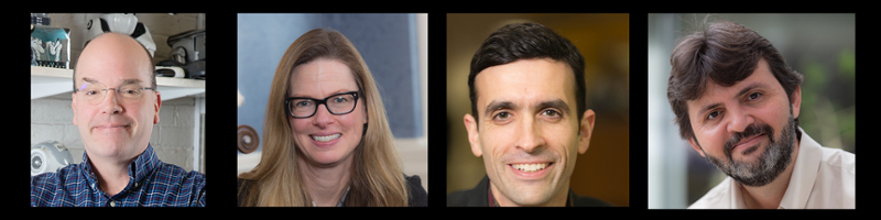 combo image of profs chown, cooper, franz, nascimento