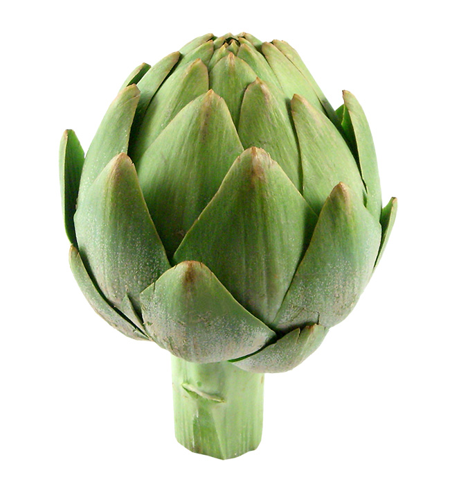 artichoke.jpg