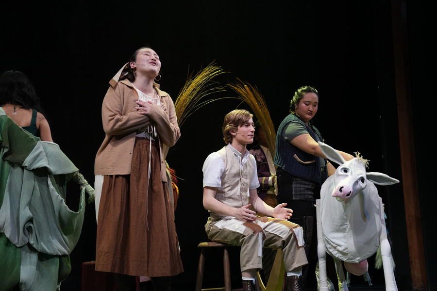 into the woods dress rehearsal image