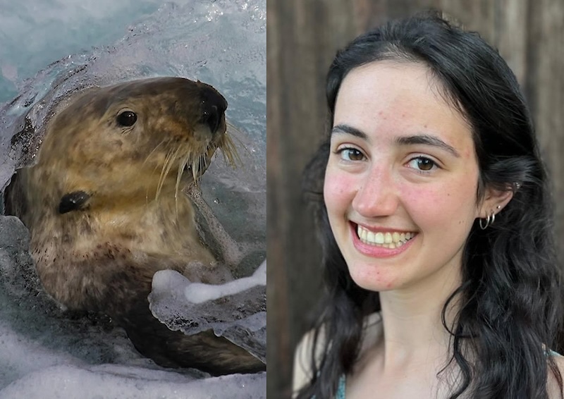 Cara headshot, with otter portrait