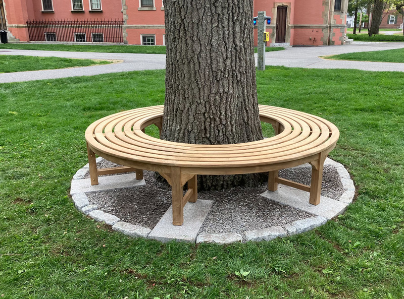 Rose campus bench