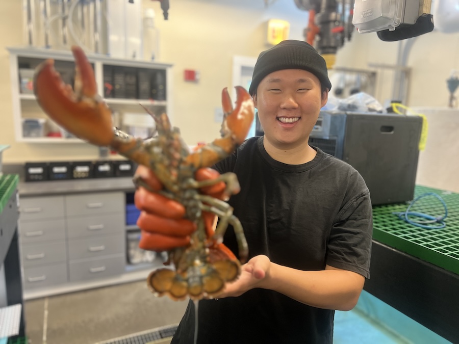 Danny with a lobster