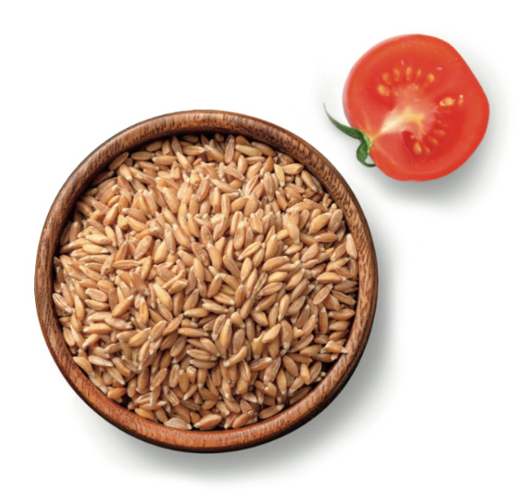 Tomato and farro