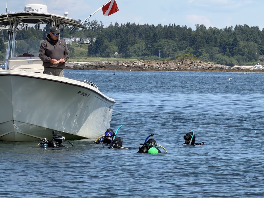Eelgrass divers and boat