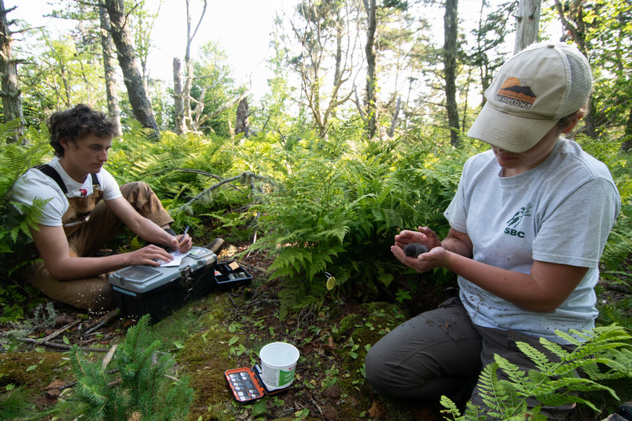 students in the kent island forest studying birds