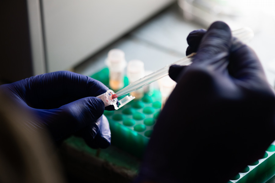 test tube samples in lab at kent island 2024