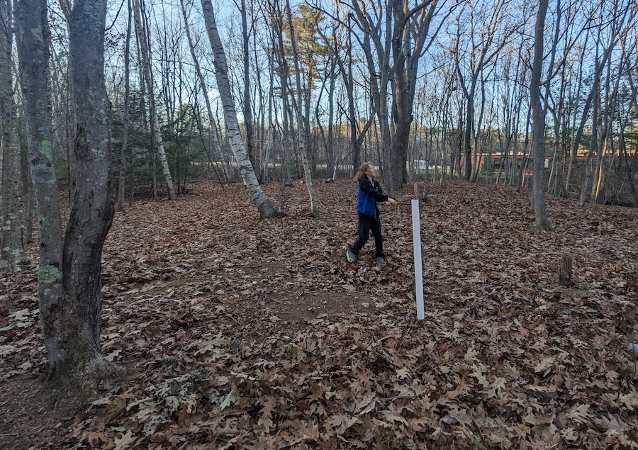 child playing in the woods