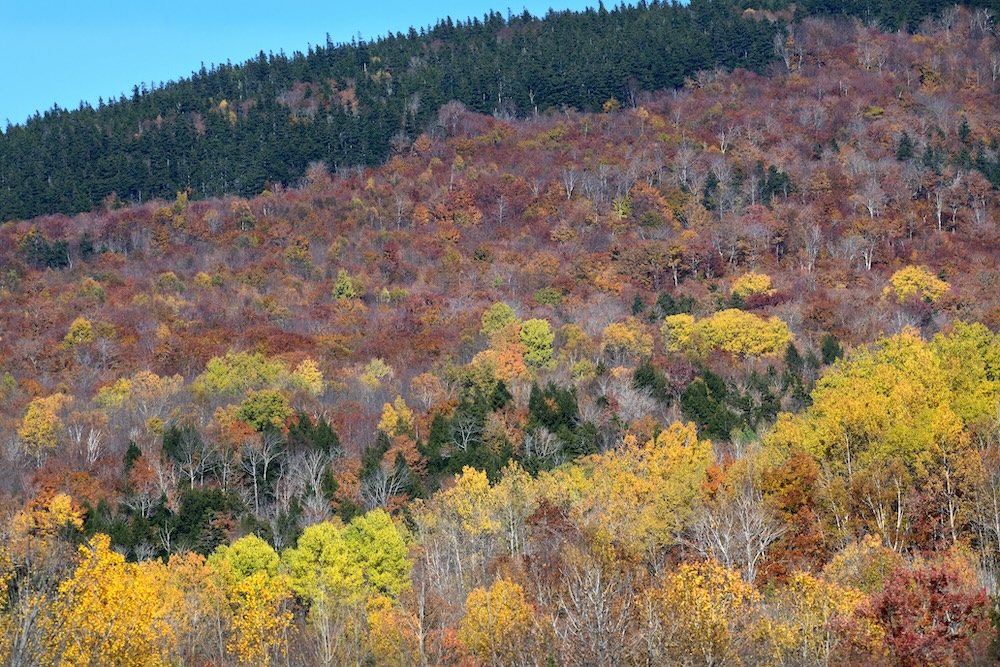 Woodruff Mountain Center