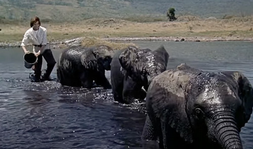 youtube screenshot from katari - baby elephants