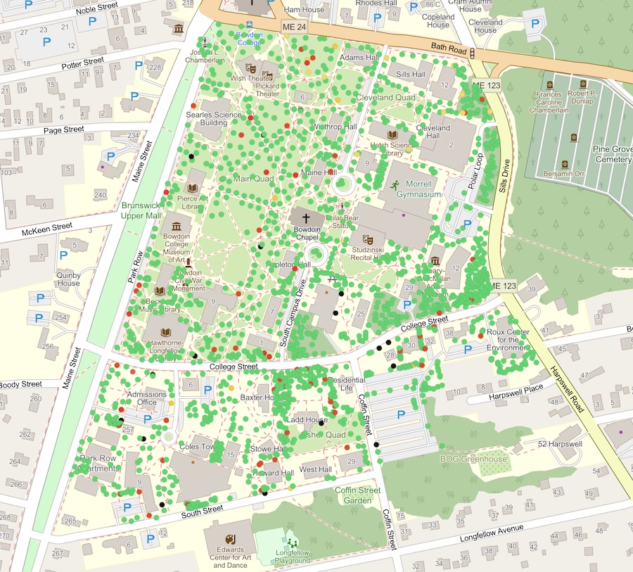 Bowdoin tree map