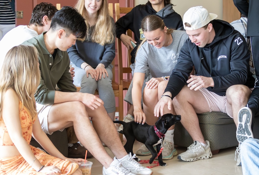 Cameron with puppies
