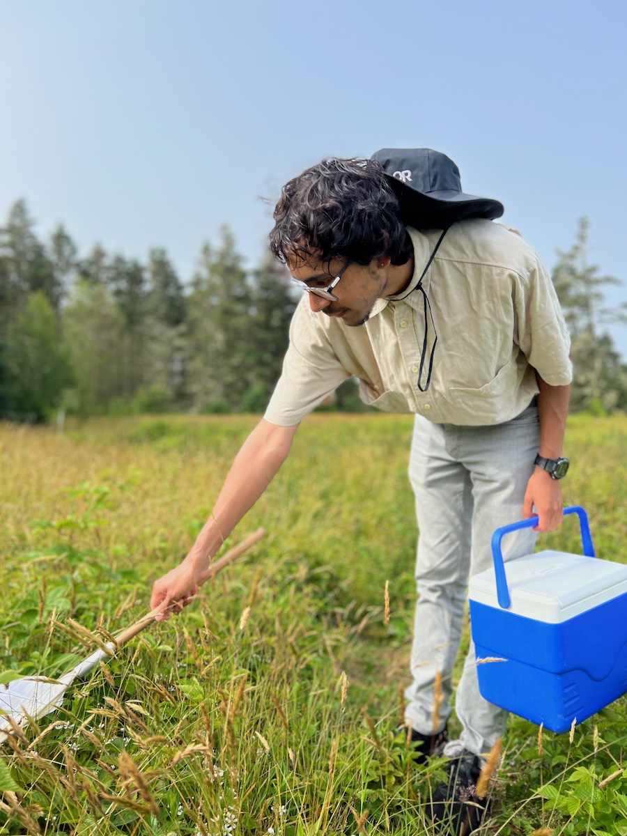 Eric Diaz in the field on Kent Island