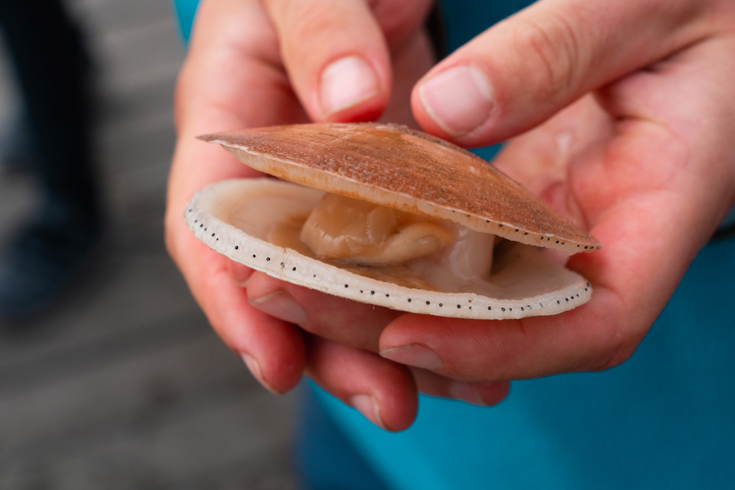 Student holding scallop.