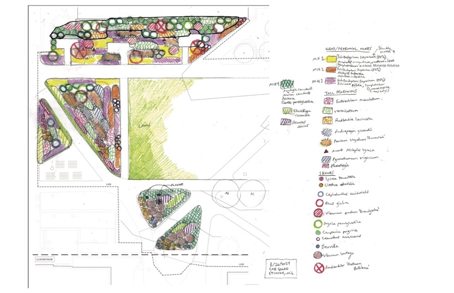 Illustration of the Coe Quad garden