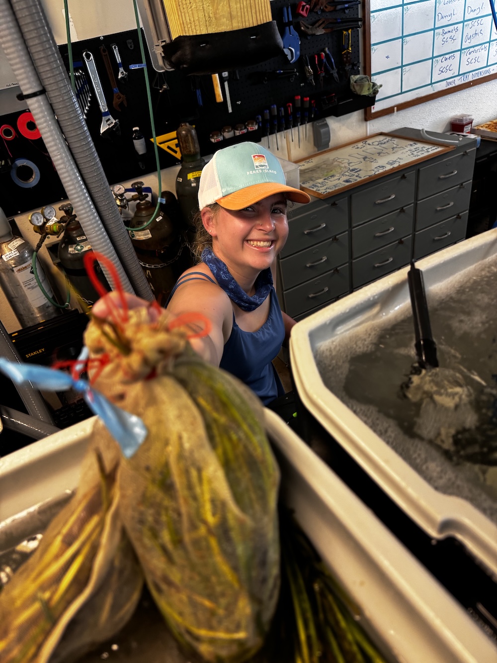 Lucy Dutton '25 in the lab