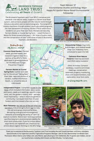 melvani27 summer fellowship with BTLT
