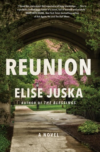 cover of reunion by elise juska95