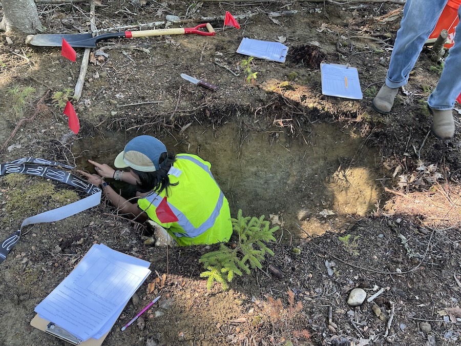Getting the Dirt on Bowdoin's New Soil Library | Bowdoin College Getting the Dirt on Bowdoin's New Soil Library | Bowdoin College