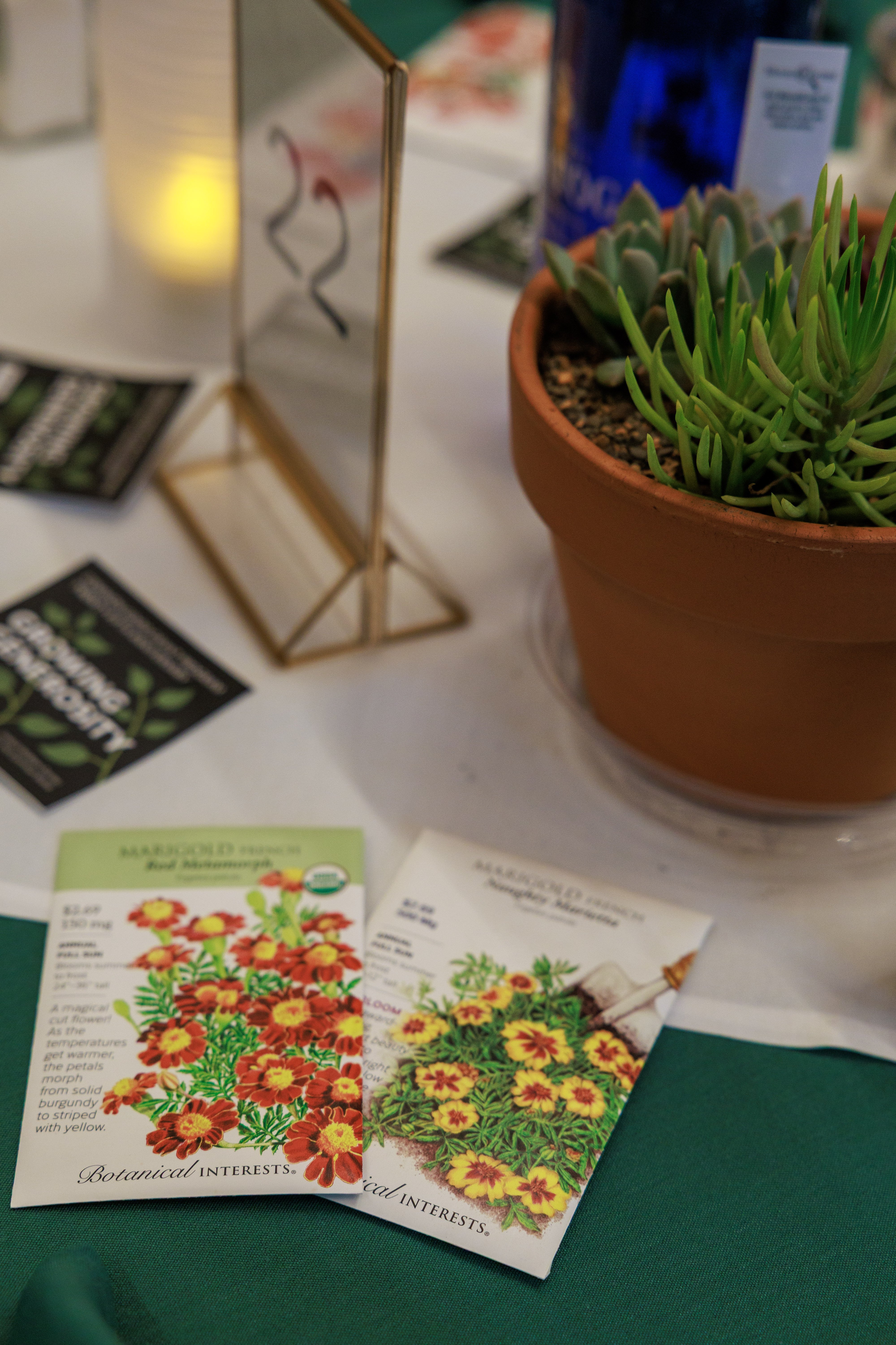 Seeds on the table at the Common Good Grant Event.