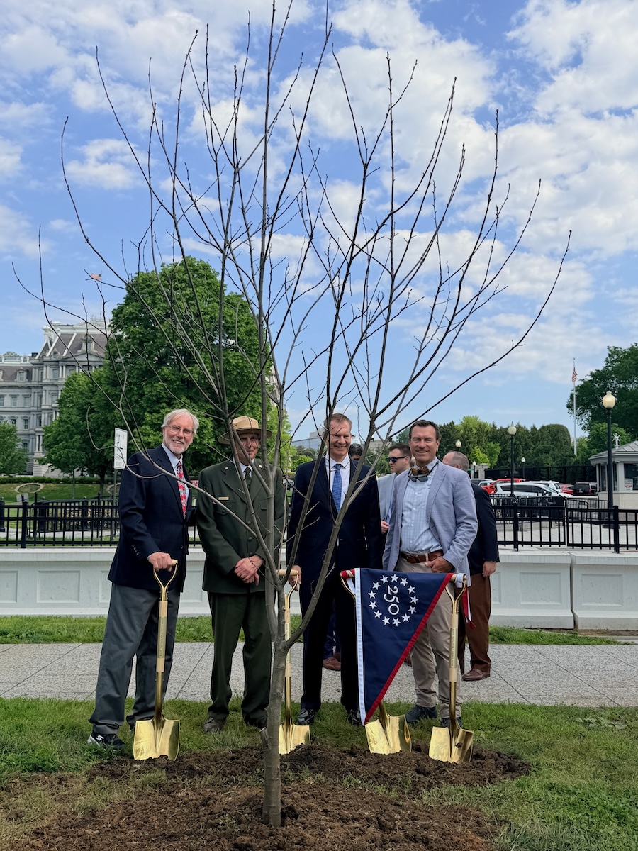 where the trees are on the WH grounds