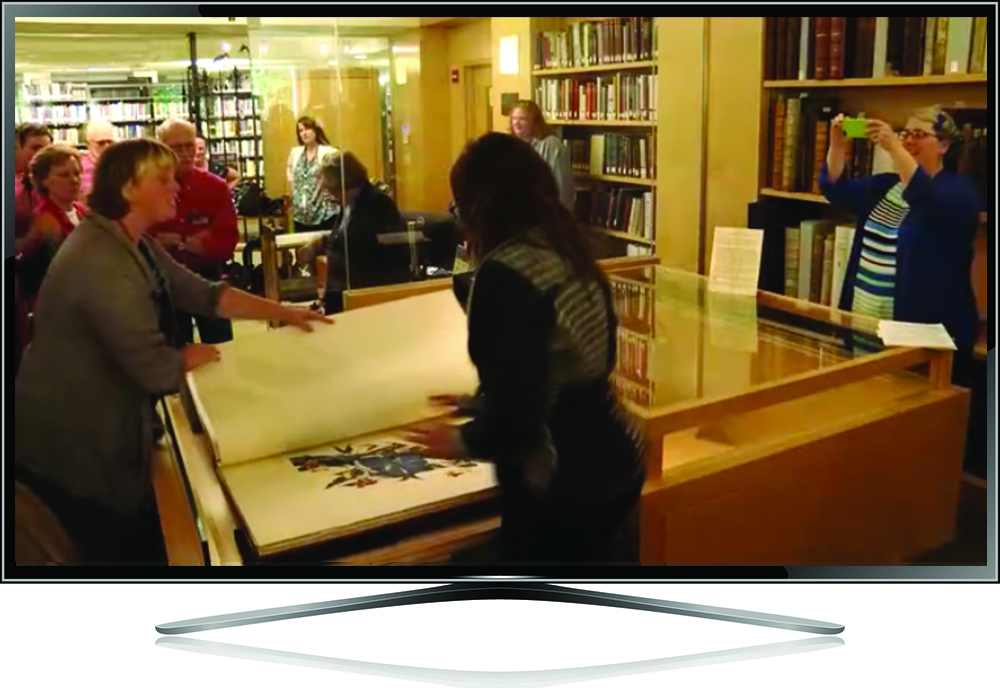 Screen grab from WCSH's "207" coverage of the Audubon book page-turning