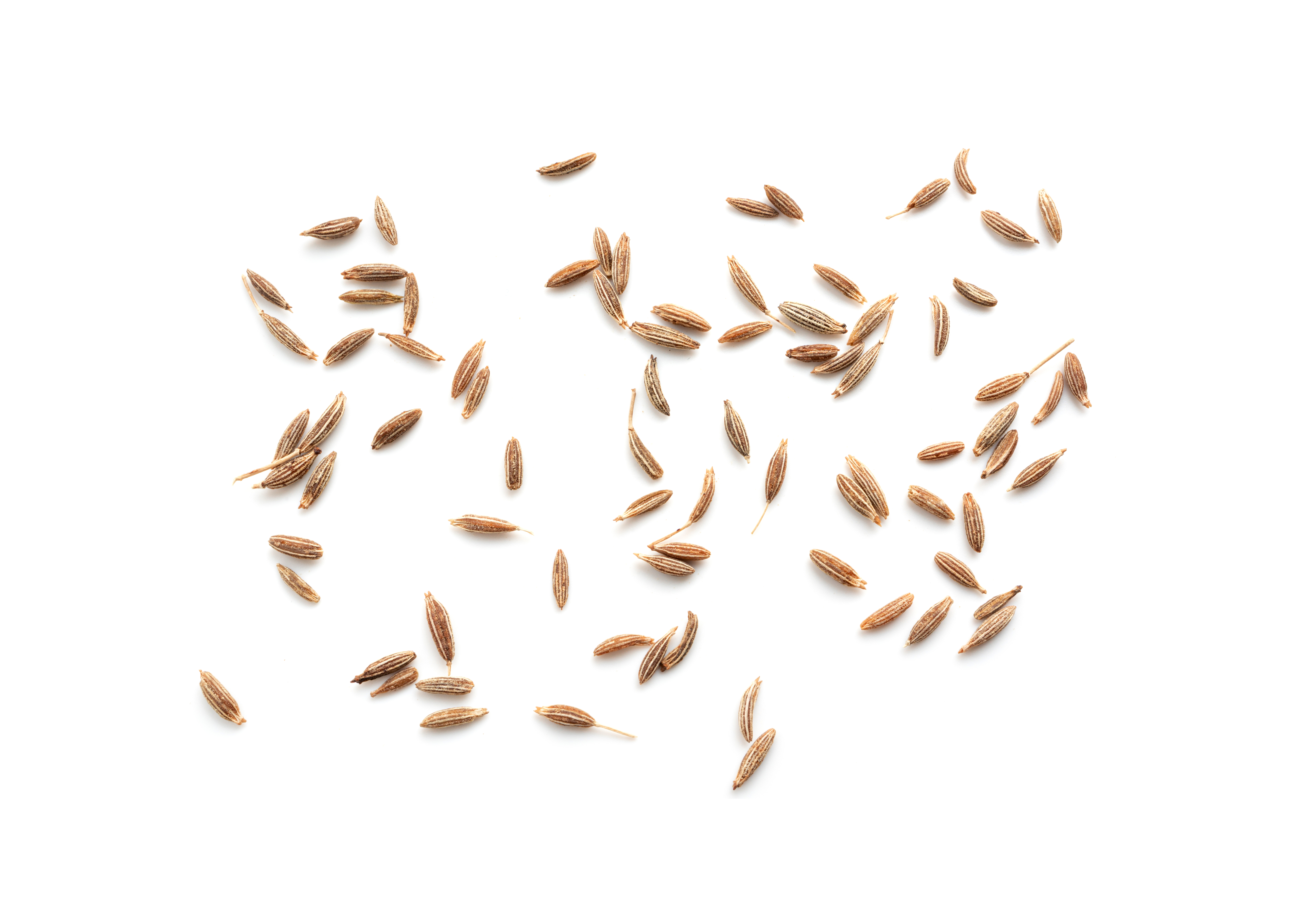 Caraway seeds