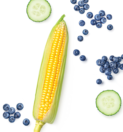 Blueberries and corn