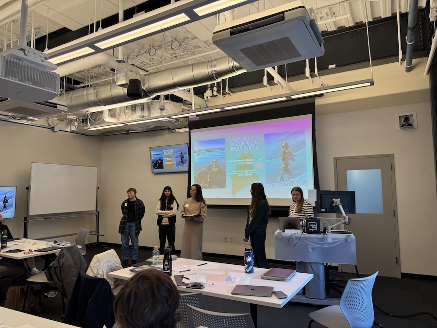 Competitors present their solution. 