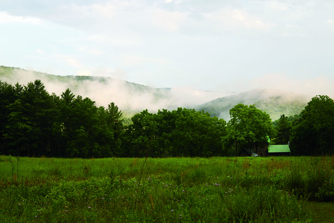 The cabin sits on National Forest land, where Kerney and Bullard do official work to help the Forest Service conserve native flora and fauna. Photograph by Chris Ritter